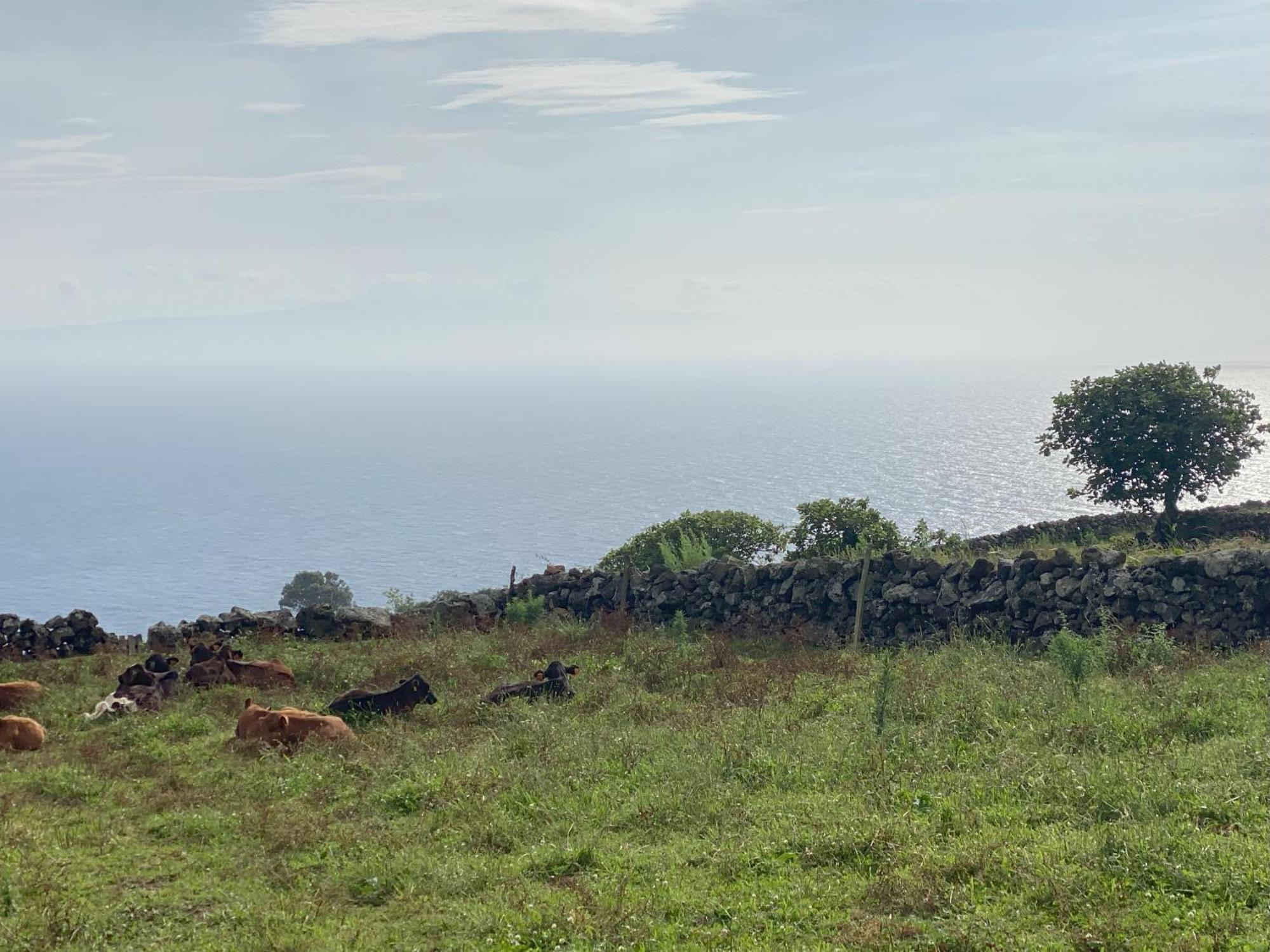 Luzz Me - Casa Das Doze Ribeiras Exteriér fotografie