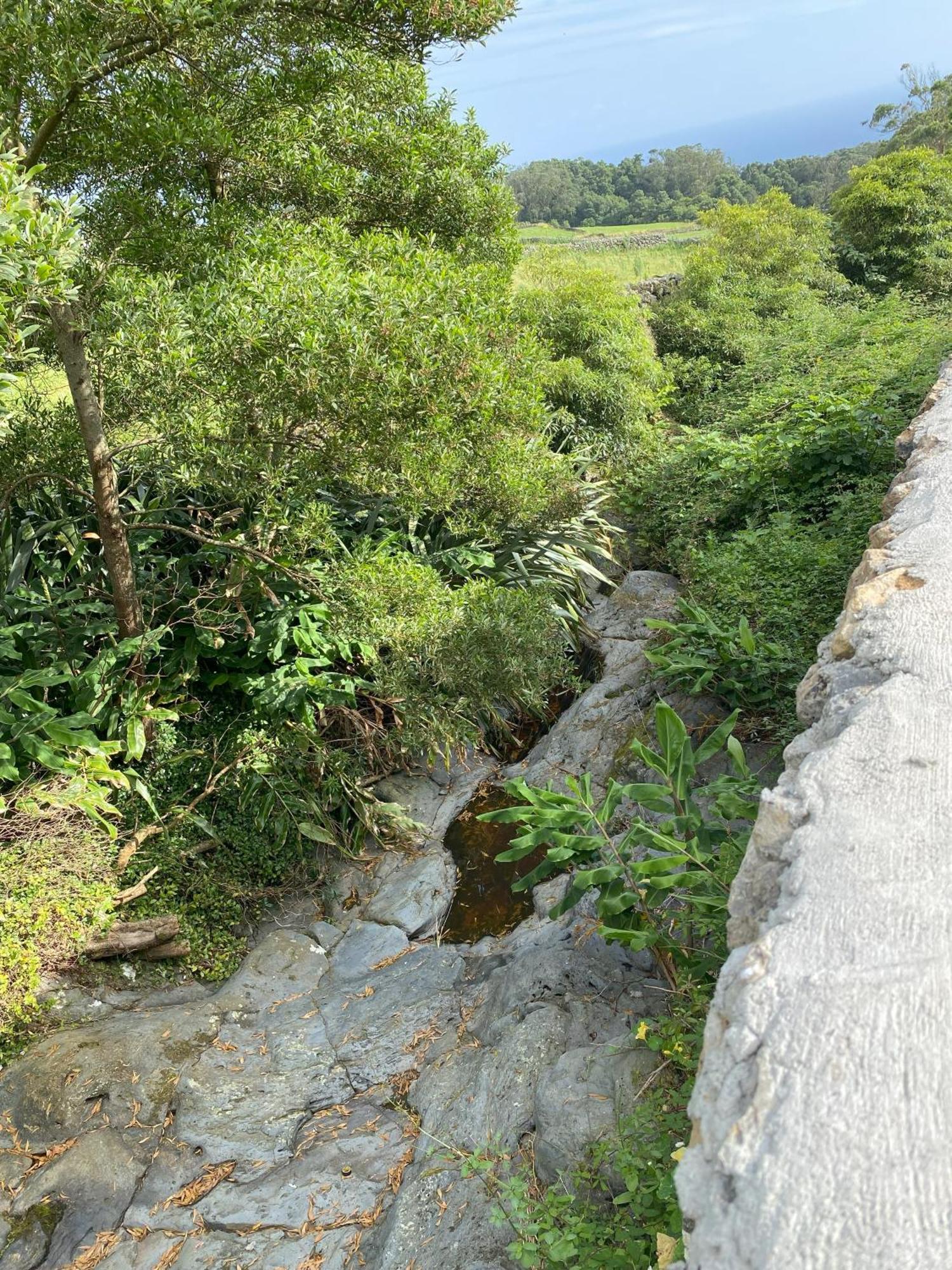 Luzz Me - Casa Das Doze Ribeiras Exteriér fotografie